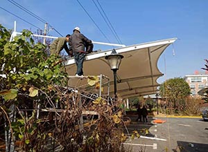 新鄉(xiāng)膜結(jié)構(gòu)車棚【新運交運公司充電樁車棚】等案例總結(jié)